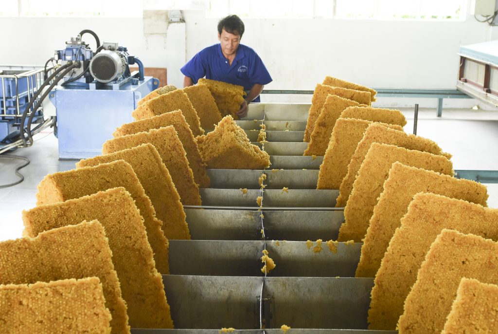 ANRPC công bố Báo cáo tháng 5/2024: Dự báo nhu cầu sẽ tăng 3,1%